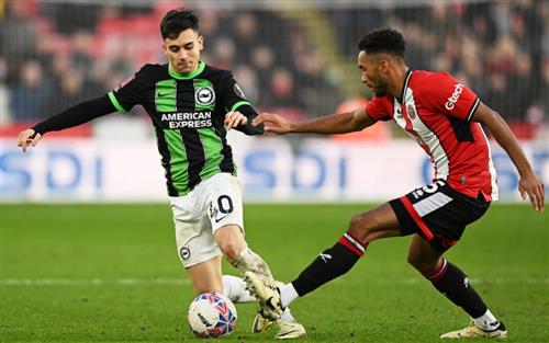 Sheffield United vs Brighton