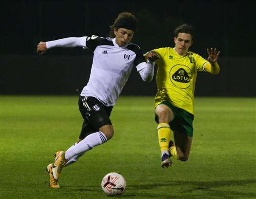 Fulham vs Norwich City