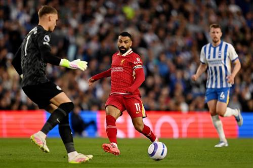 brighton vs liverpool